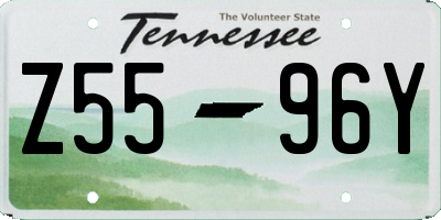 TN license plate Z5596Y