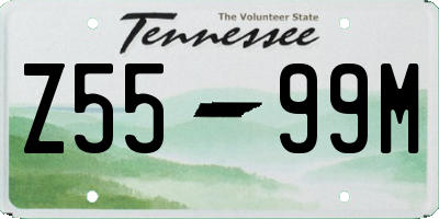TN license plate Z5599M