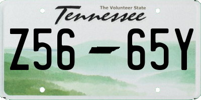 TN license plate Z5665Y