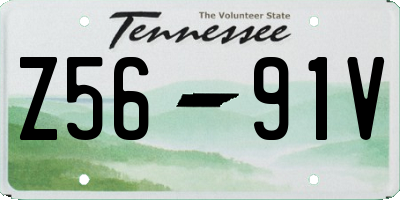TN license plate Z5691V