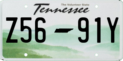 TN license plate Z5691Y