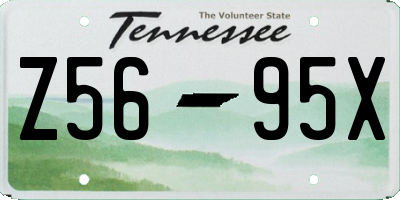 TN license plate Z5695X