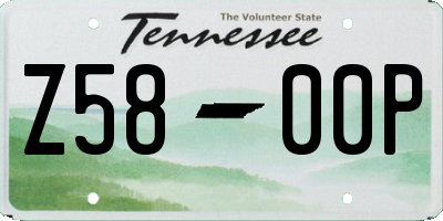 TN license plate Z5800P