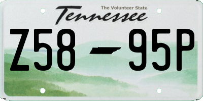 TN license plate Z5895P