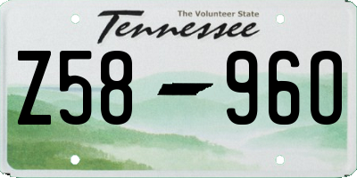 TN license plate Z5896O
