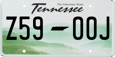 TN license plate Z5900J