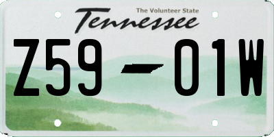 TN license plate Z5901W