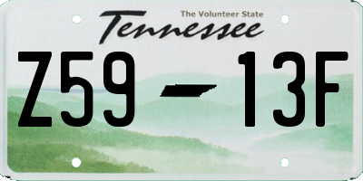 TN license plate Z5913F