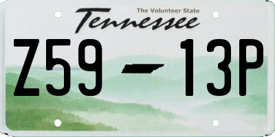 TN license plate Z5913P