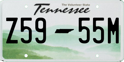TN license plate Z5955M