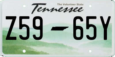 TN license plate Z5965Y