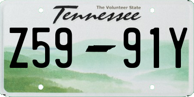 TN license plate Z5991Y