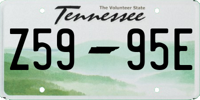 TN license plate Z5995E