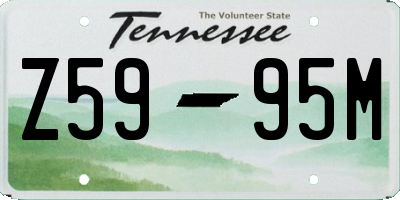 TN license plate Z5995M
