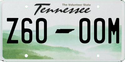 TN license plate Z6000M