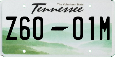 TN license plate Z6001M