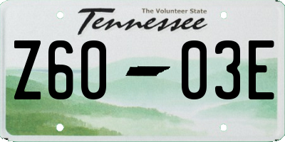 TN license plate Z6003E