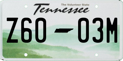 TN license plate Z6003M