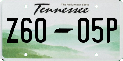 TN license plate Z6005P