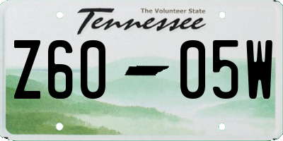 TN license plate Z6005W