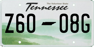 TN license plate Z6008G