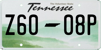 TN license plate Z6008P