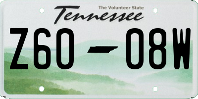 TN license plate Z6008W