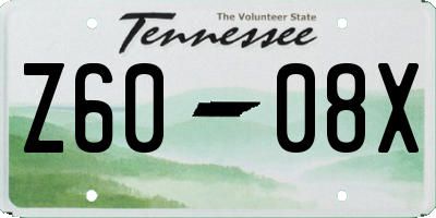 TN license plate Z6008X