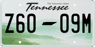 TN license plate Z6009M
