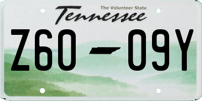 TN license plate Z6009Y