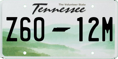 TN license plate Z6012M