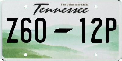TN license plate Z6012P