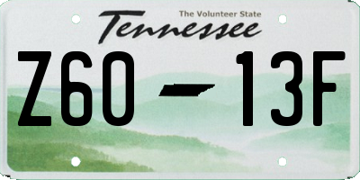 TN license plate Z6013F