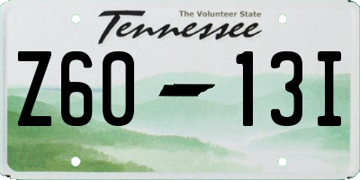 TN license plate Z6013I
