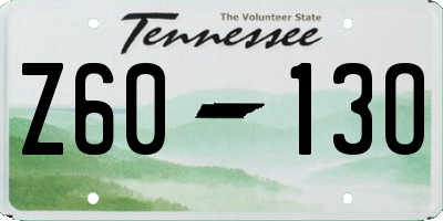 TN license plate Z6013O