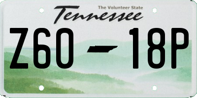 TN license plate Z6018P