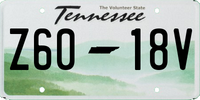 TN license plate Z6018V