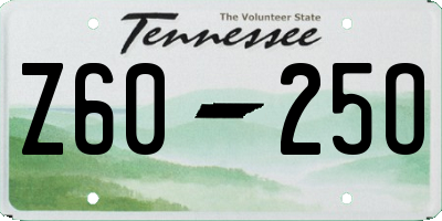 TN license plate Z6025O