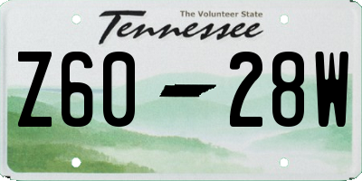 TN license plate Z6028W