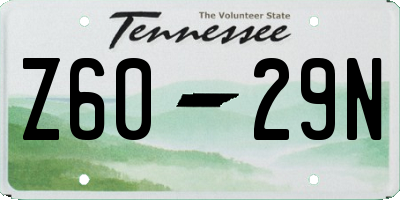 TN license plate Z6029N