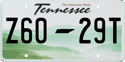TN license plate Z6029T