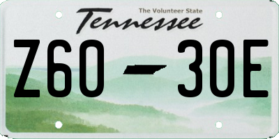 TN license plate Z6030E