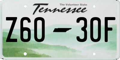 TN license plate Z6030F