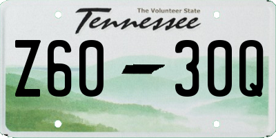 TN license plate Z6030Q