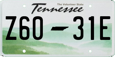 TN license plate Z6031E