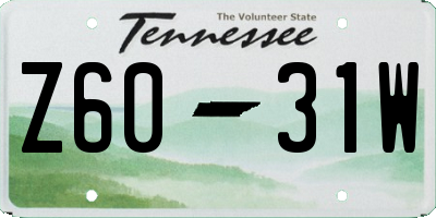 TN license plate Z6031W
