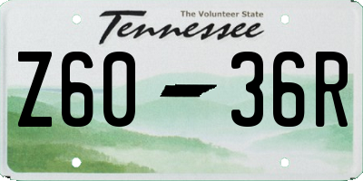 TN license plate Z6036R