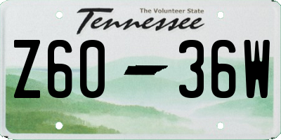 TN license plate Z6036W