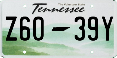 TN license plate Z6039Y