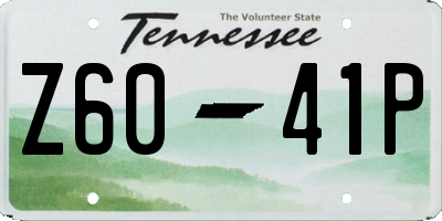 TN license plate Z6041P